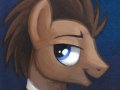 square_series___dr__whooves_by_sophiecabra-d66k1lv.jpg